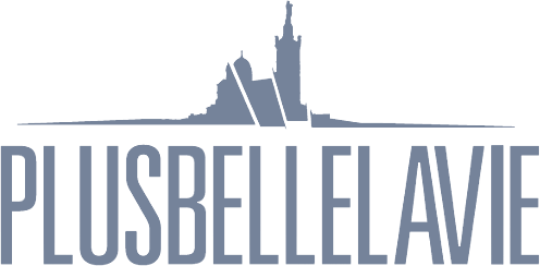 logo Plus Belle La Vie