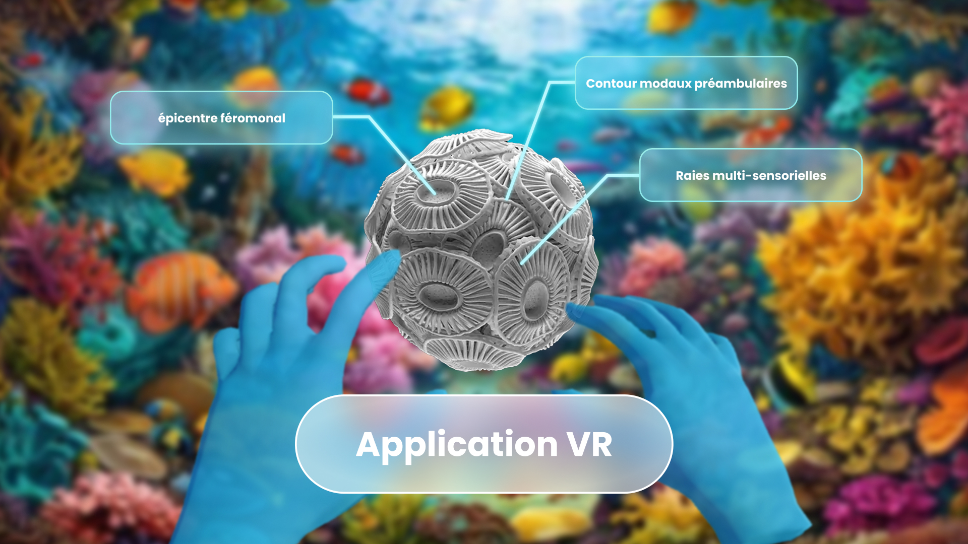 Conception d'application pour Meta Quest.